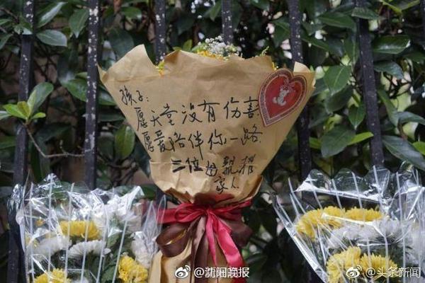 🥰喜欢！约基奇打破次元壁与濮存昕共同撸马&看马眼神都拉丝了
